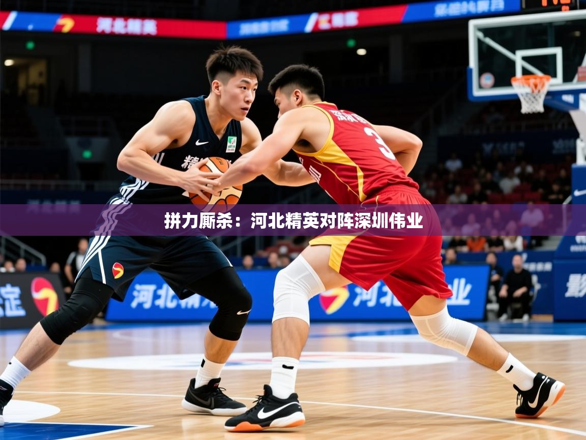 2026华体会登录拼力厮杀：河北精英对阵深圳伟业