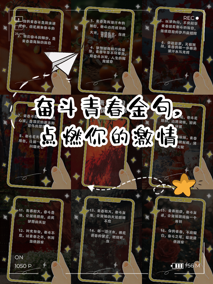 关于伯克：亚洲夜战，燃烧激情与梦想前行的信息